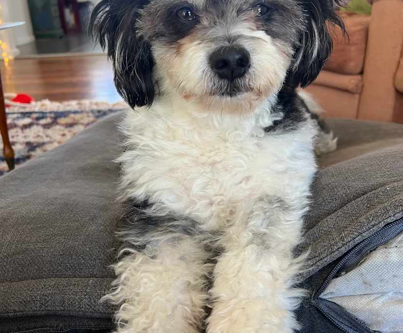 $235, Share-house, 3 bathrooms, Reservoir VIC 3073