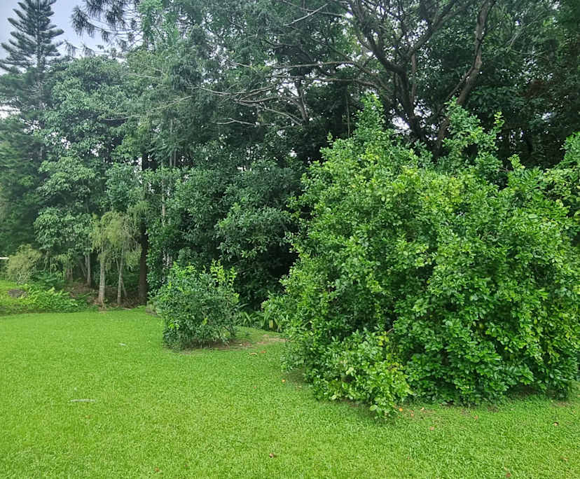 $350, Share-house, 4 bathrooms, Mooroobool QLD 4870