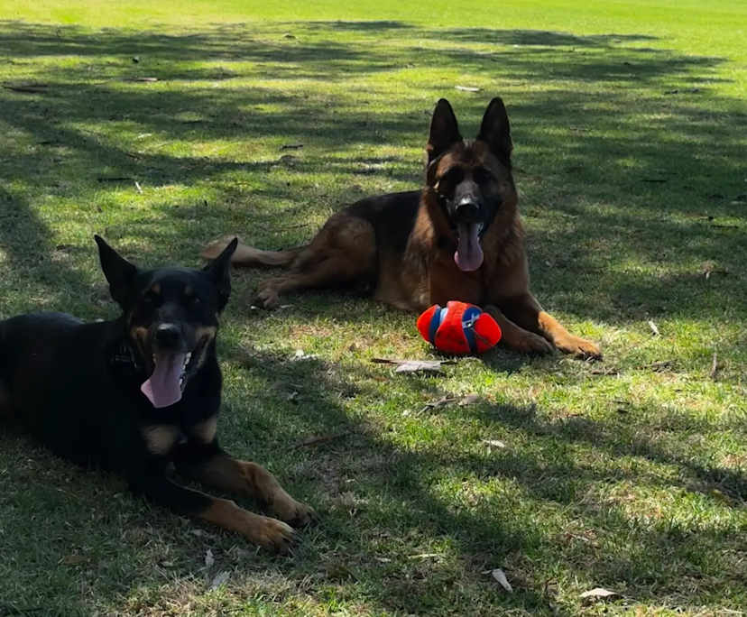 $260, Share-house, 4 bathrooms, South Guildford WA 6055