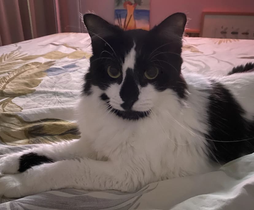 $380, Flatshare, 2 bathrooms, Ardross WA 6153