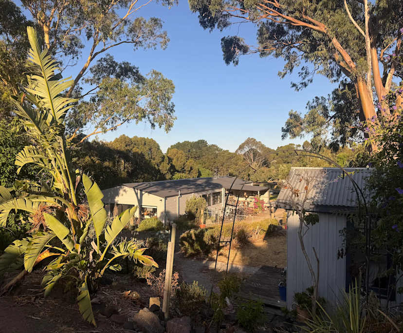 $300, Share-house, 3 bathrooms, Drysdale VIC 3222