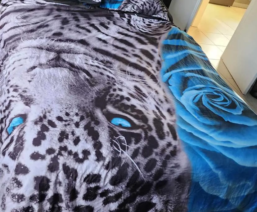 $250-350, Share-house, 2 rooms, Westcourt QLD 4870, Westcourt QLD 4870