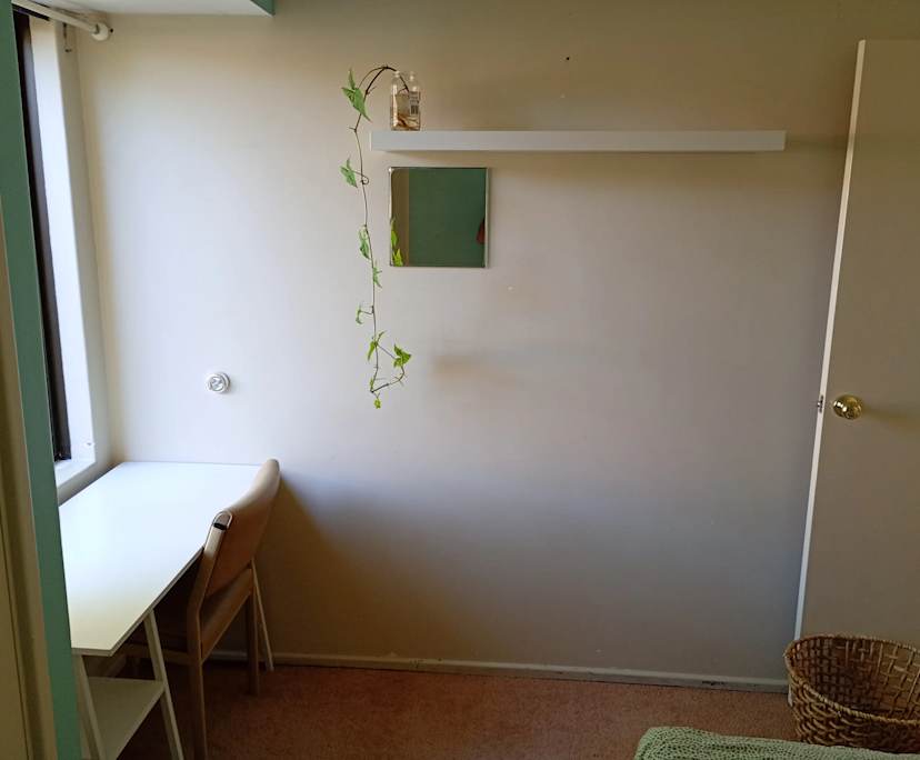 Room in a share house