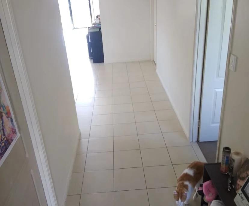 $250, Share-house, 2 rooms, Gracemere QLD 4702, Gracemere QLD 4702