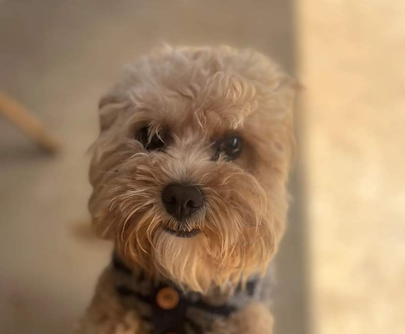 $215, Share-house, 3 bathrooms, Wyndham Vale VIC 3024