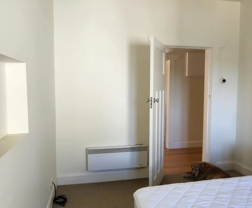 $250-300, Share-house, 2 rooms, East Launceston TAS 7250, East Launceston TAS 7250