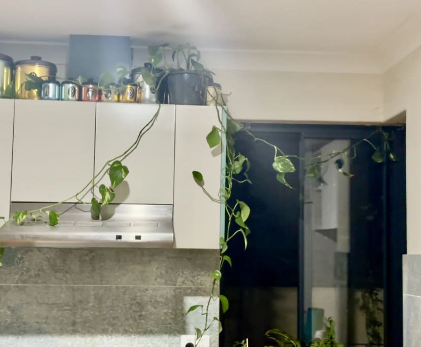 $350, Share-house, 3 bathrooms, Willagee WA 6156