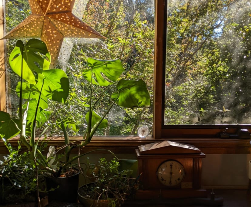 $210-270, Share-house, 2 rooms, Mount Victoria NSW 2786, Mount Victoria NSW 2786