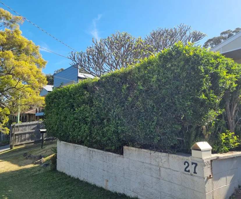 Whole property with 3 rooms for rent
