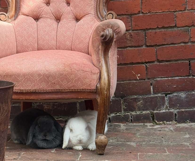 $380, Share-house, 2 bathrooms, Carlton North VIC 3054