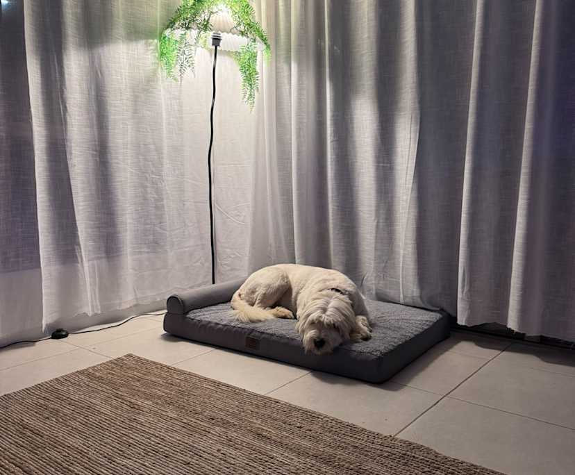 propertyImage