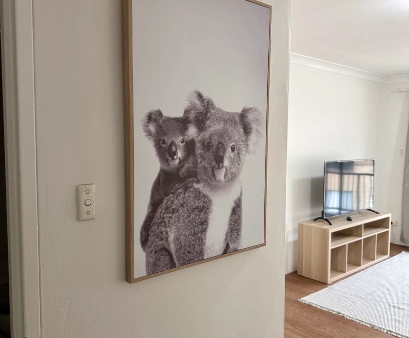 $260, Flatshare, 2 bathrooms, Pyrmont NSW 2009