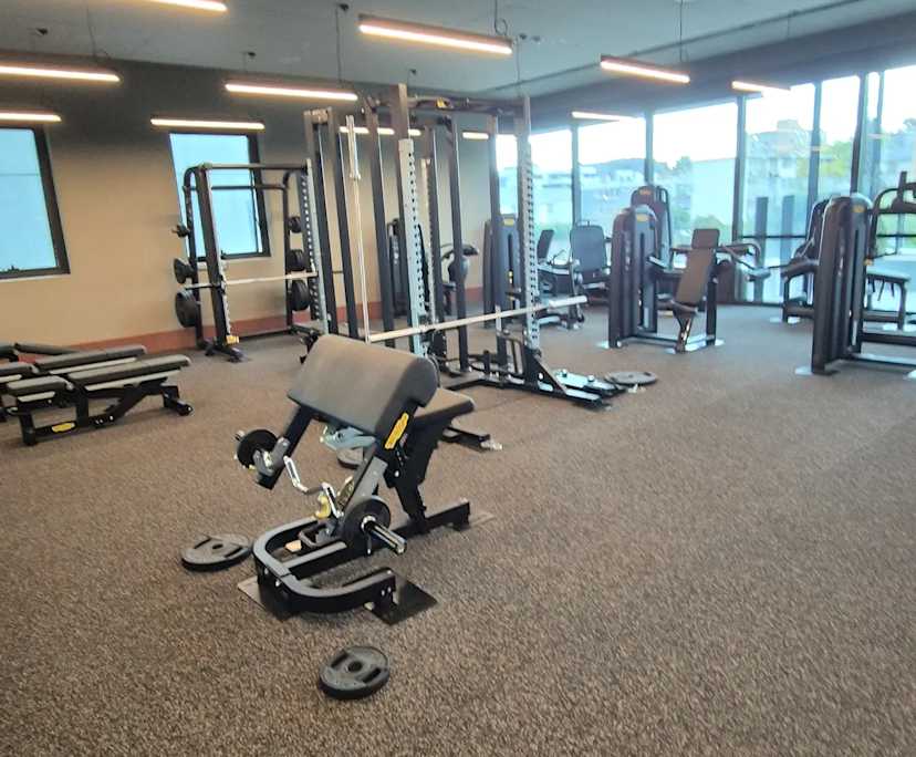 $625, Studio, 1 bathroom, South Yarra VIC 3141