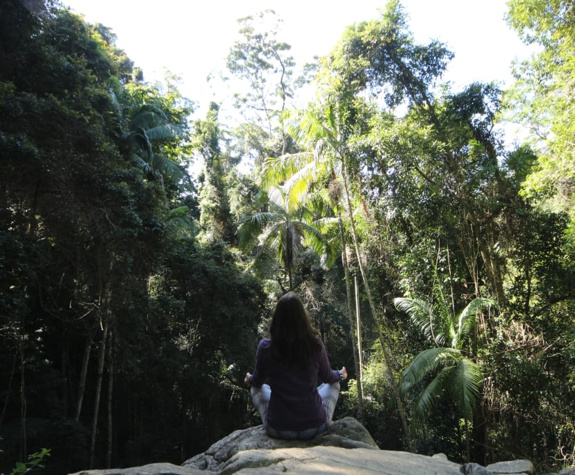 $820, Granny-flat, 1 bathroom, Highvale QLD 4520