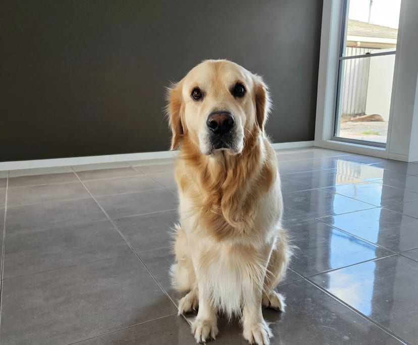 $350, Share-house, 3 bathrooms, Mooloolaba QLD 4557