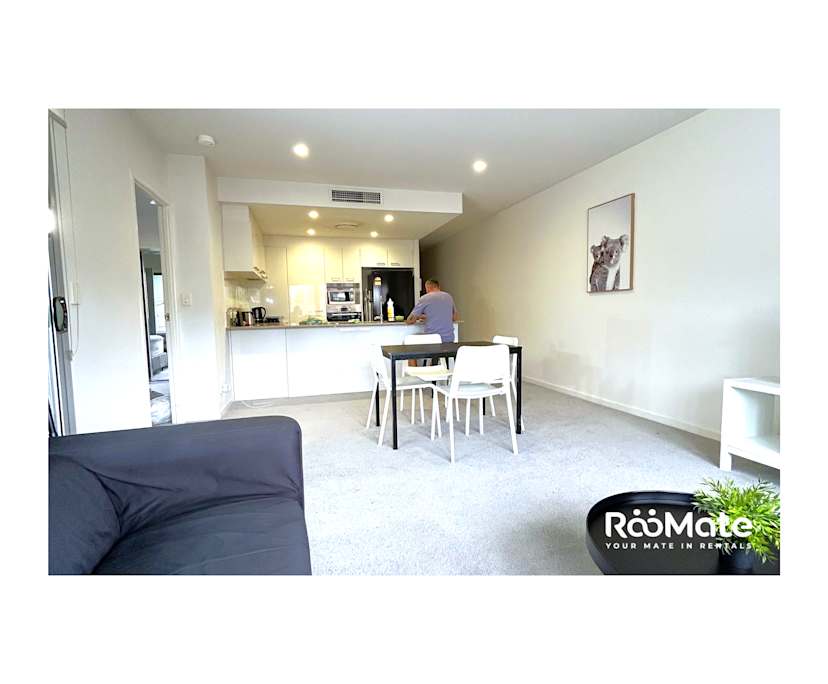 $250, Flatshare, 2 rooms, Brisbane City QLD 4000, Brisbane City QLD 4000