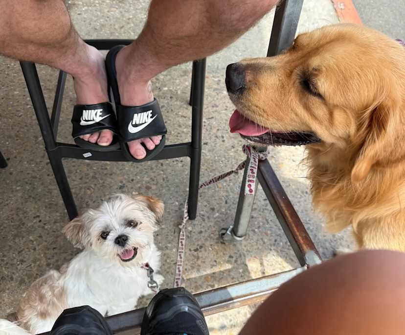 $300, Share-house, 3 bathrooms, Mermaid Waters QLD 4218