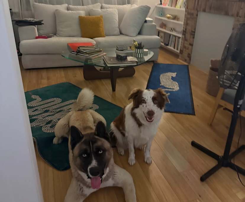 $1,300, Homestay, 2 bathrooms, Kingsgrove NSW 2208