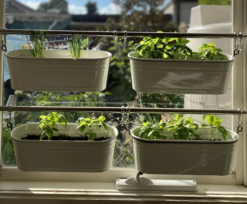 $325, Share-house, 3 bathrooms, Caulfield North VIC 3161