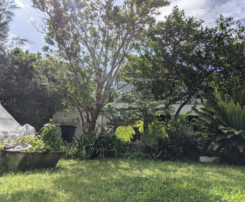 Room for Rent in Austinmer, Wollongong 200, Flexi...