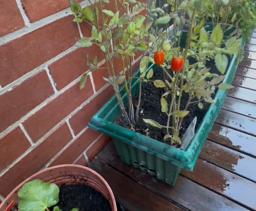 $350-400, Share-house, 3 rooms, Camberwell VIC 3124, Camberwell VIC 3124