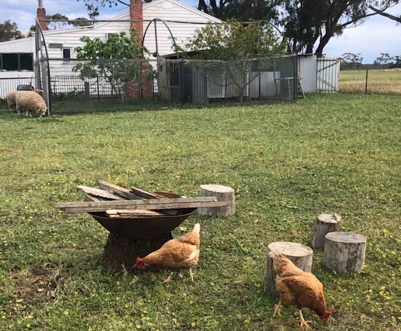 Room in a share house