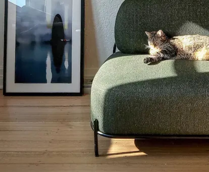 $400, Flatshare, 2 bathrooms, Elwood VIC 3184