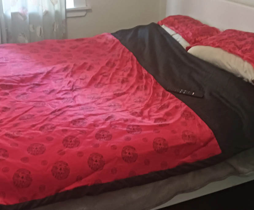 $300, Share-house, 3 bathrooms, North Strathfield NSW 2137