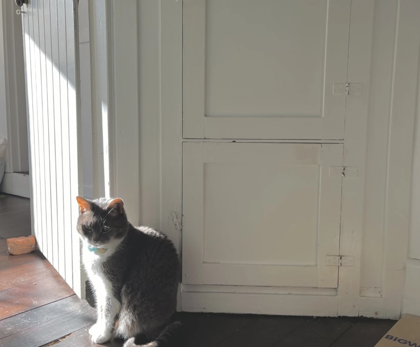 $280, Share-house, 3 bathrooms, Invermay TAS 7248