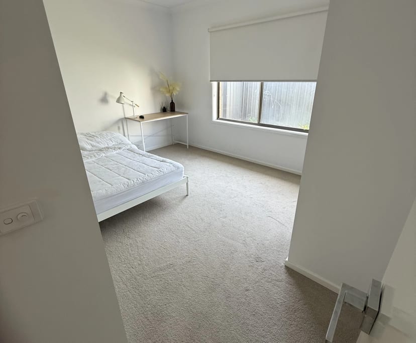 Room in a share house