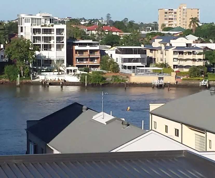 $235, Student-accommodation, 4 bathrooms, Kangaroo Point QLD 4169