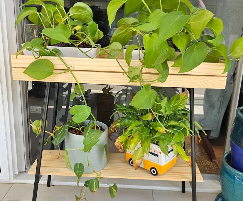 $230, Flatshare, 2 bathrooms, Kangaroo Point QLD 4169