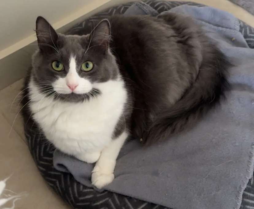 $265, Share-house, 2 bathrooms, Narre Warren VIC 3805