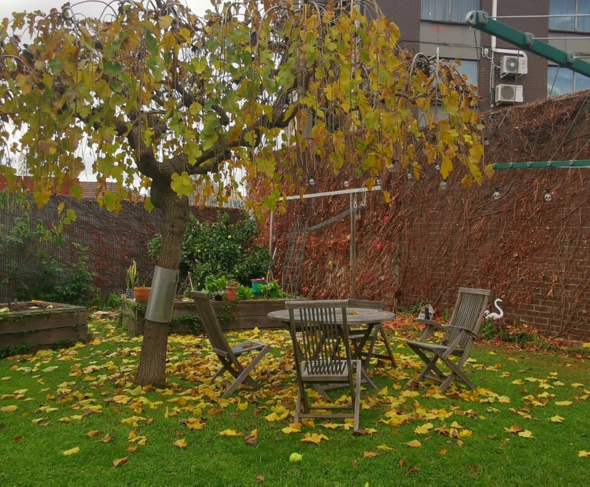 Furnished room in a flatshare