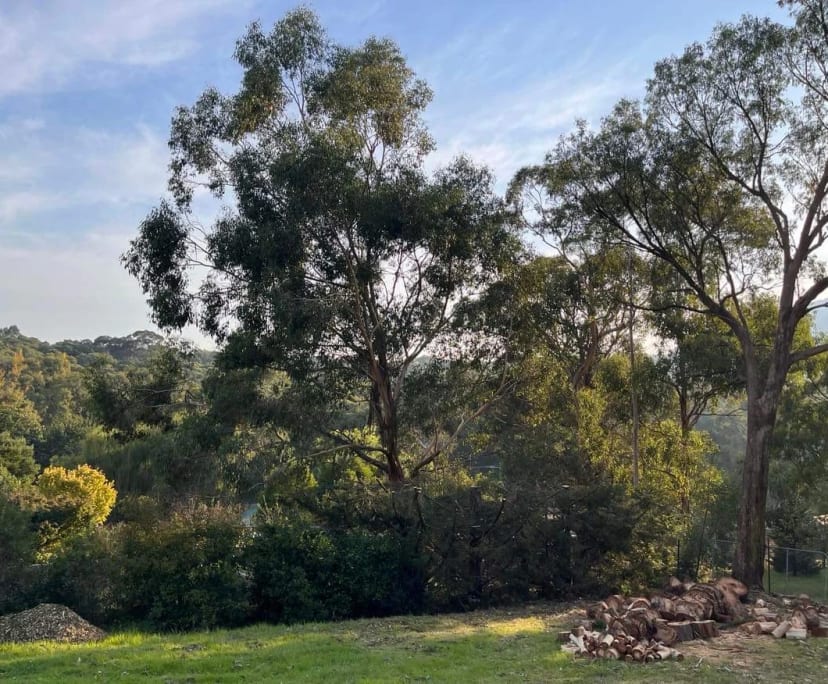 Room for Rent in Badger Creek, Melbourne 250, Fur...