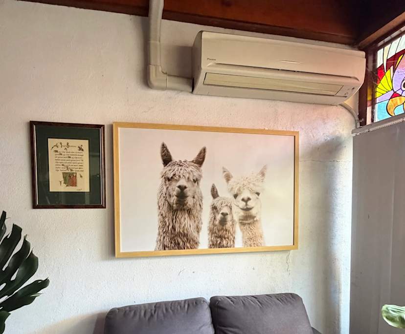 $210, Flatshare, 3 bathrooms, Adelaide SA 5000