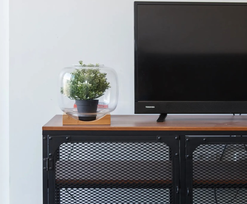 $750, Whole-property, 2 bathrooms, West Melbourne VIC 3003