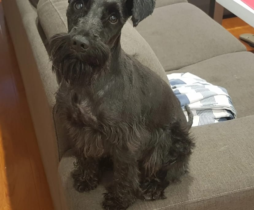 $280, Student-accommodation, 3 bathrooms, Cheltenham VIC 3192