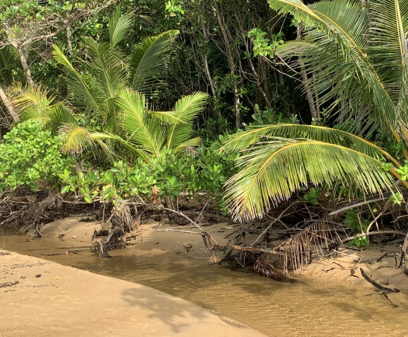 Room for Rent in Bingil Bay, QLD 188, Furnished,