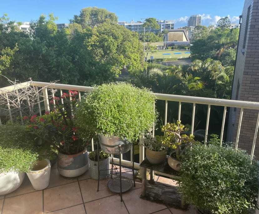 $350, Flatshare, 2 bathrooms, Tweed Heads NSW 2485