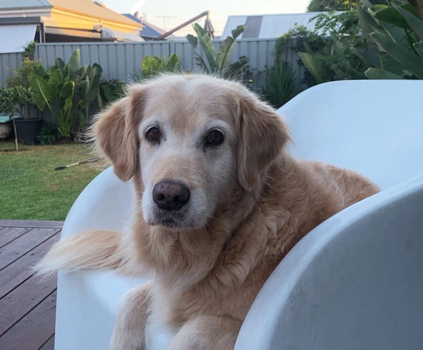 $310, Share-house, 3 bathrooms, Mayfield NSW 2304