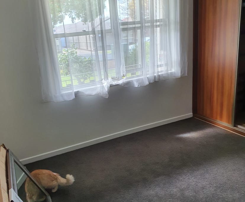 Room for Rent in Manifold Heights, Geelong 220, F...