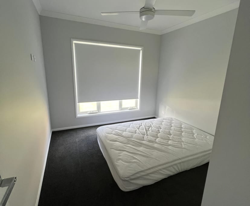 Room in a share house