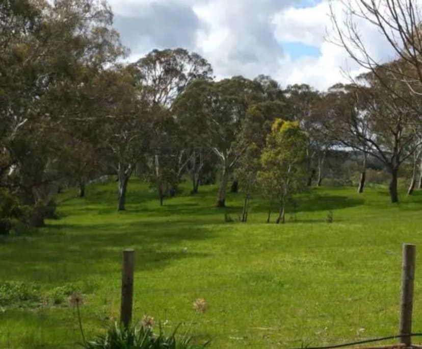 $300, Whole-property, 1 bathroom, Macclesfield SA 5153