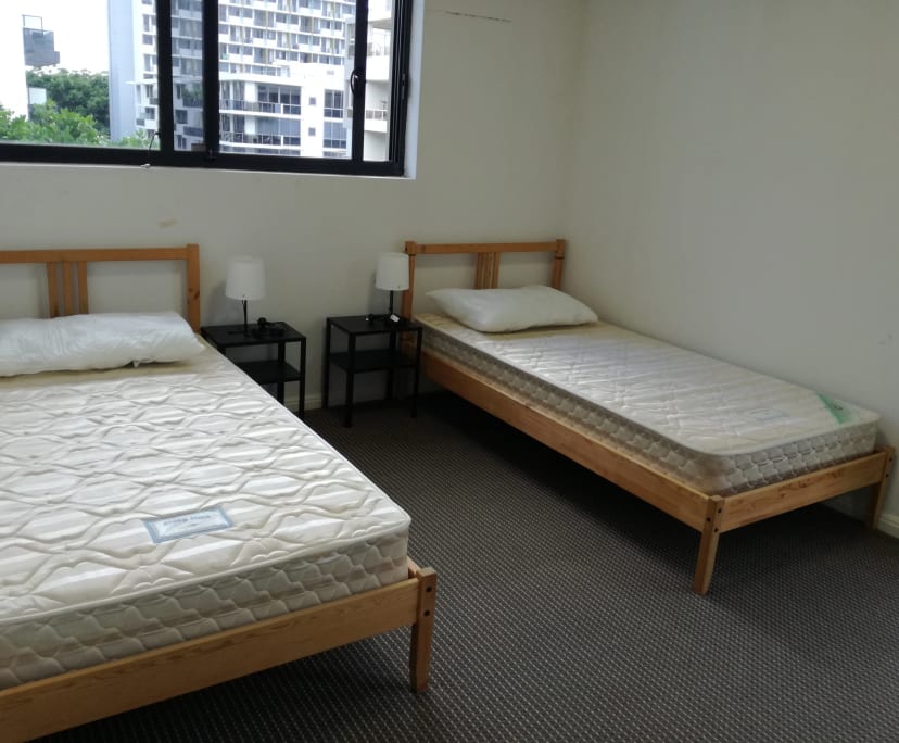 $310, Flatshare, 2 bathrooms, Waterloo NSW 2017