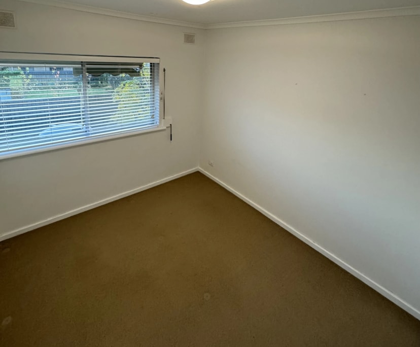 $300, Flatshare, 2 bathrooms, Goodwood SA 5034