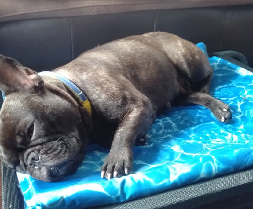 $275, Share-house, 3 bathrooms, Runcorn QLD 4113