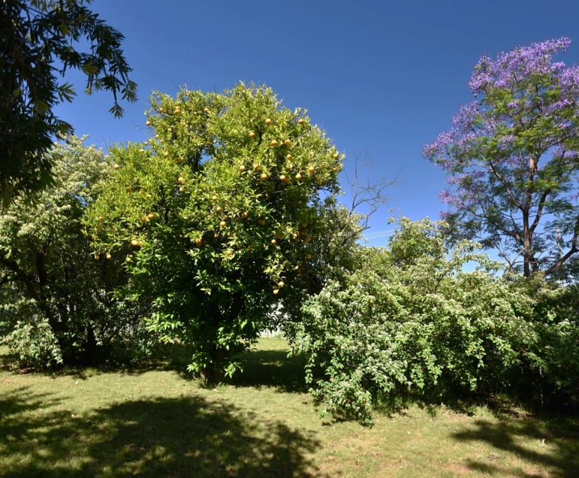 $175, Share-house, 4 bathrooms, South Tamworth NSW 2340