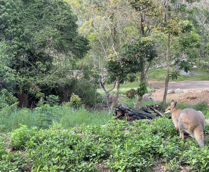 $315, Share-house, 3 bathrooms, Tallai QLD 4213