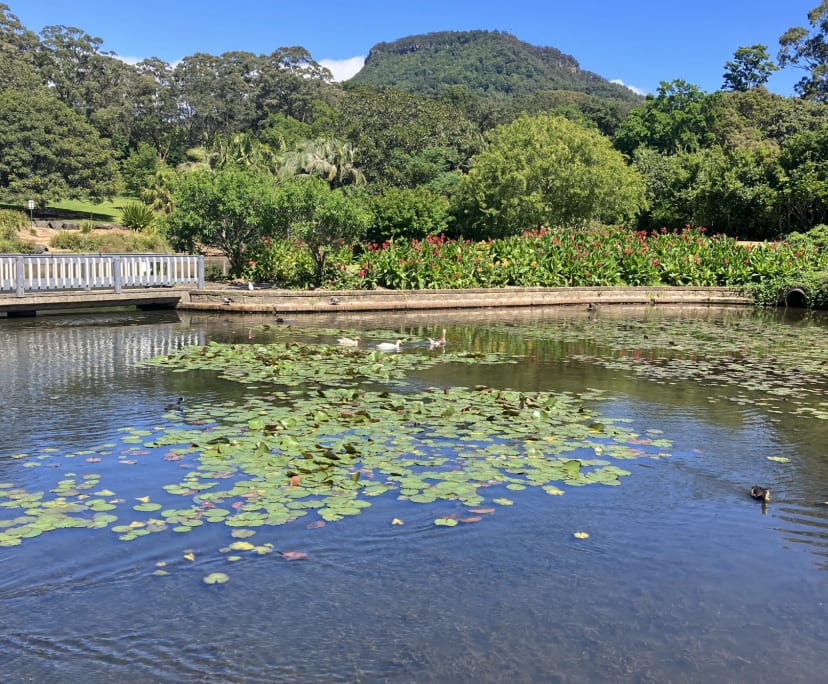 $350, Share-house, 3 bathrooms, Keiraville NSW 2500